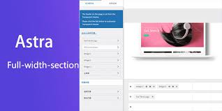 Astra主题设置详解：如何轻松管理您的网站外观-光子VIP教程中心 | 深度WordPress教程，助你快速掌握实战技能